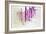 Sugilite-Tyson Estes-Framed Giclee Print