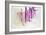 Sugilite-Tyson Estes-Framed Giclee Print