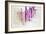 Sugilite-Tyson Estes-Framed Giclee Print