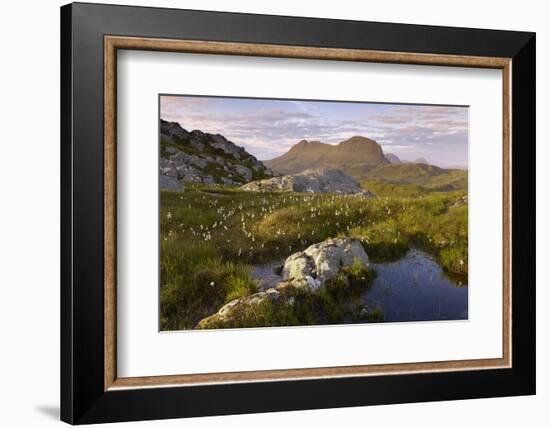 Suilven in Early Morning Light, Coigach - Assynt Swt, Sutherland, Highlands, Scotland, UK, June-Joe Cornish-Framed Photographic Print