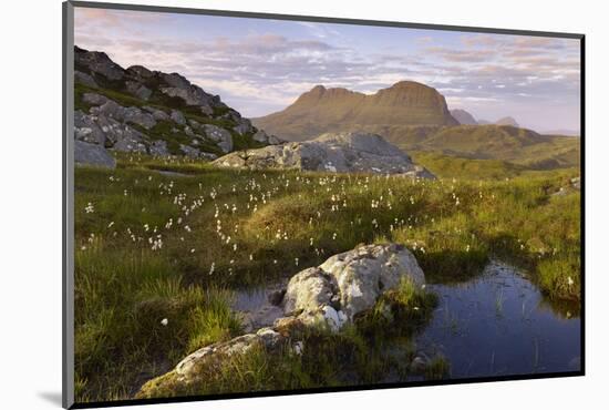 Suilven in Early Morning Light, Coigach - Assynt Swt, Sutherland, Highlands, Scotland, UK, June-Joe Cornish-Mounted Photographic Print