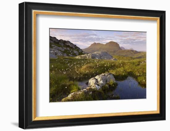 Suilven in Early Morning Light, Coigach - Assynt Swt, Sutherland, Highlands, Scotland, UK, June-Joe Cornish-Framed Photographic Print