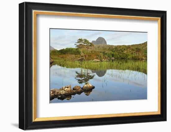 Suilven over a Highland Loch with Islands of Scots Pine and Birch. Sutherland, Scotland-Fergus Gill-Framed Photographic Print