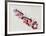 Suite Corrida VI-Daniel Milhaud-Framed Collectable Print