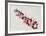 Suite Corrida VI-Daniel Milhaud-Framed Collectable Print