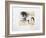 Suite Equestre IV-Jean-marie Guiny-Framed Limited Edition