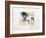 Suite Equestre IV-Jean-marie Guiny-Framed Limited Edition