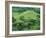 Suizenji Koen, Kumamoto, Japan-Rob Tilley-Framed Photographic Print