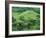 Suizenji Koen, Kumamoto, Japan-Rob Tilley-Framed Photographic Print