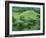 Suizenji Koen, Kumamoto, Japan-Rob Tilley-Framed Photographic Print