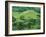 Suizenji Koen, Kumamoto, Japan-Rob Tilley-Framed Photographic Print