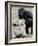 Sukari, an 8-Year-Old Mother Gorilla, Rummages Through a Trick or Treat Bag-John Amis-Framed Photographic Print