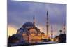 Suleymaniye Mosque, Eminonuand Bazaar District, Istanbul, Turkey, Europe-Richard Cummins-Mounted Photographic Print