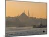 Suleymaniye Mosque, Istanbul, Turkey, Istanbul, Turkey-Jon Arnold-Mounted Photographic Print