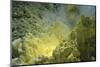 Sulfur in a Volcano Crater, Papua New Guinea, New Britain, Kimbe Bay-Reinhard Dirscherl-Mounted Photographic Print