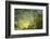 Sulfur in a Volcano Crater, Papua New Guinea, New Britain, Kimbe Bay-Reinhard Dirscherl-Framed Photographic Print