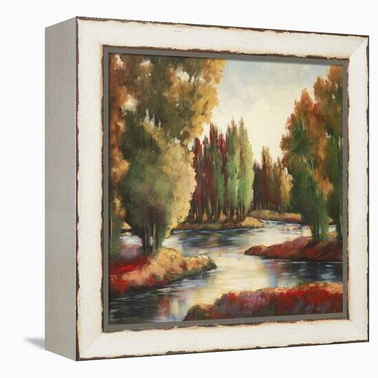 Sullivan's Creek II-Adam Rogers-Framed Stretched Canvas