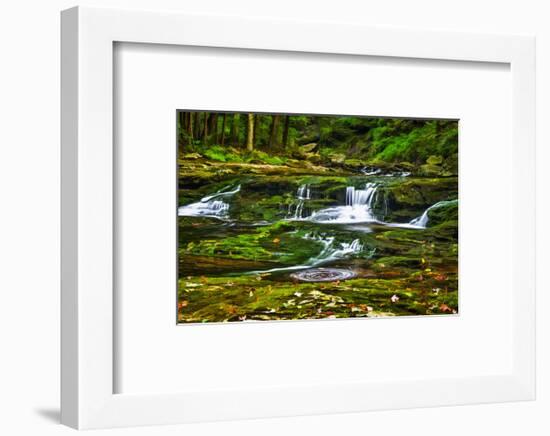 Sullivan’s Run #1-Robert Lott-Framed Art Print