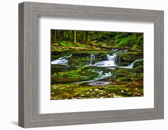 Sullivan’s Run #1-Robert Lott-Framed Art Print