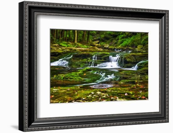 Sullivan’s Run #1-Robert Lott-Framed Art Print