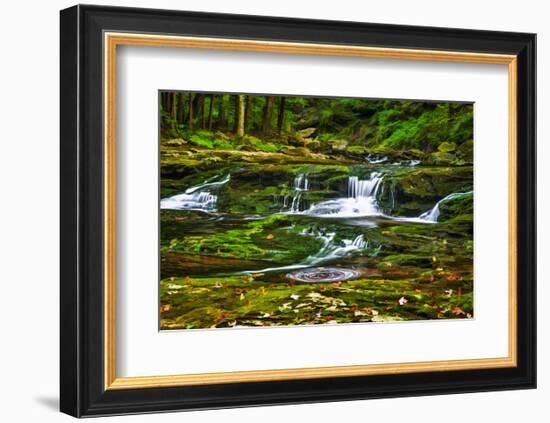 Sullivan’s Run #1-Robert Lott-Framed Art Print