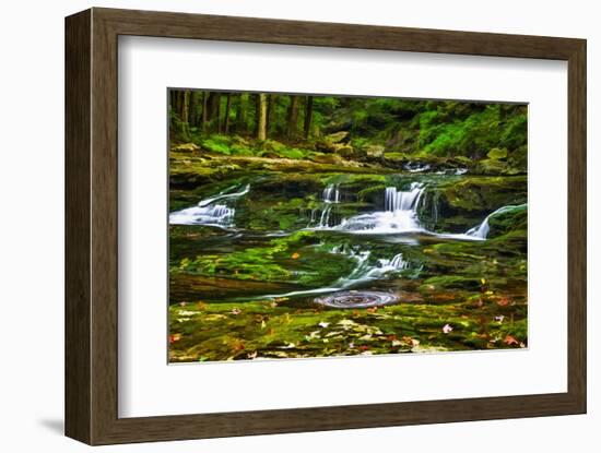 Sullivan’s Run #1-Robert Lott-Framed Art Print