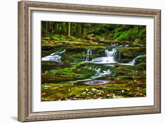 Sullivan’s Run #1-Robert Lott-Framed Art Print