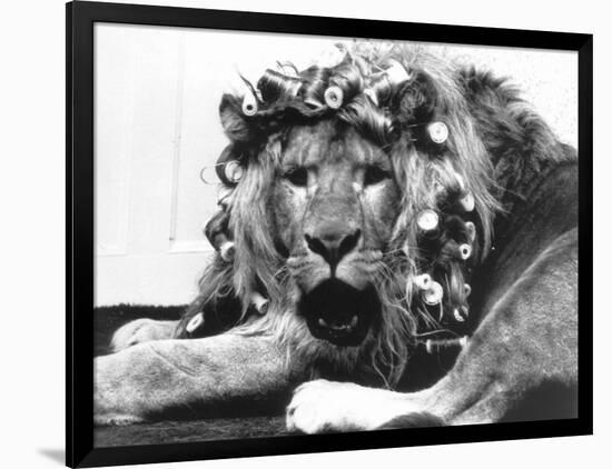 Photographic Print, , large