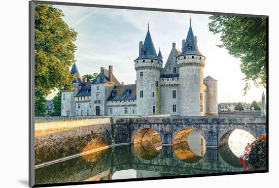 Sully-Sur-Loire Chateau France-null-Mounted Art Print