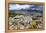 Sulphur Buckwheat Wildflower Above Lake Aloha, Lake Tahoe, California-Howie Garber-Framed Premier Image Canvas