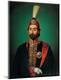 Premium Giclee Print