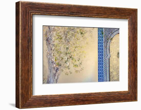 Sultans Gate-Doug Chinnery-Framed Photographic Print