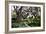 Sultry Garden I-Alan Hausenflock-Framed Photographic Print