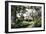 Sultry Garden II-Alan Hausenflock-Framed Photographic Print