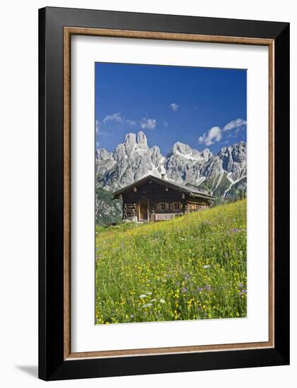 Sulzenalm with Bischofsmuetze, Salzburg, Austria-null-Framed Art Print