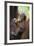 Sumatran Orangutan 9 Month Old Infant-null-Framed Photographic Print