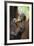 Sumatran Orangutan 9 Month Old Infant-null-Framed Photographic Print