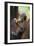 Sumatran Orangutan 9 Month Old Infant-null-Framed Photographic Print