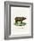 Sumatran Rhinoceros-null-Framed Giclee Print