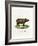 Sumatran Rhinoceros-null-Framed Giclee Print