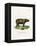 Sumatran Rhinoceros-null-Framed Premier Image Canvas