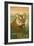 Sumatran Tiger - Lithograph Series-Lantern Press-Framed Art Print