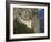 Sumela Monastery, Trabzon, Anatolia, Turkey, Asia Minor, Eurasia-Rolf Richardson-Framed Photographic Print