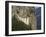 Sumela Monastery, Trabzon, Anatolia, Turkey, Asia Minor, Eurasia-Rolf Richardson-Framed Photographic Print