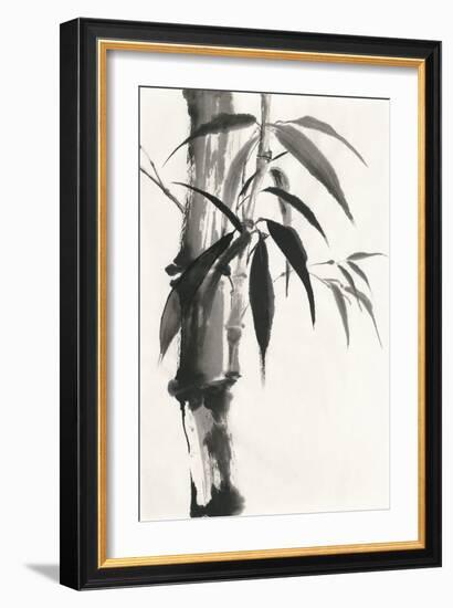 Sumi Bamboo-Chris Paschke-Framed Art Print