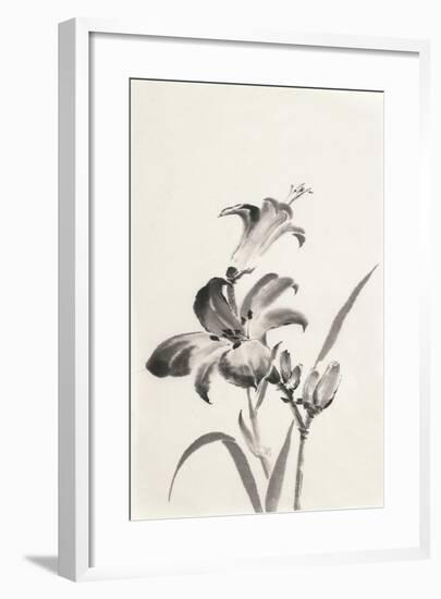 Sumi Daylily I-Chris Paschke-Framed Art Print