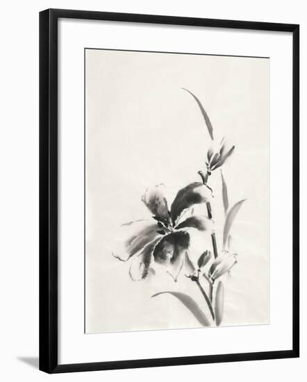 Sumi Daylily IV-Chris Paschke-Framed Art Print