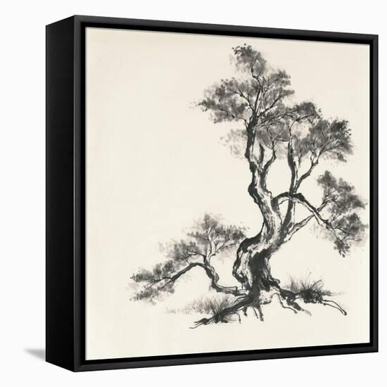 Sumi Tree I-Chris Paschke-Framed Stretched Canvas