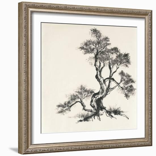 Sumi Tree I-Chris Paschke-Framed Art Print