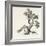 Sumi Tree I-Chris Paschke-Framed Art Print